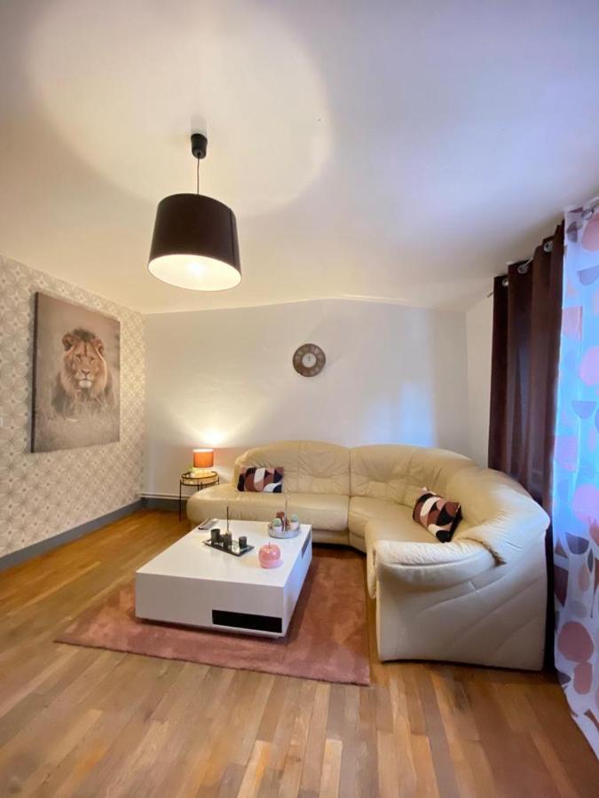 Appartement Independant De 100 Mc Avec 4 Chambres, Salon Et Jardin Senones  Extérieur photo