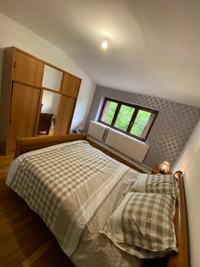 Appartement Independant De 100 Mc Avec 4 Chambres, Salon Et Jardin Senones  Extérieur photo