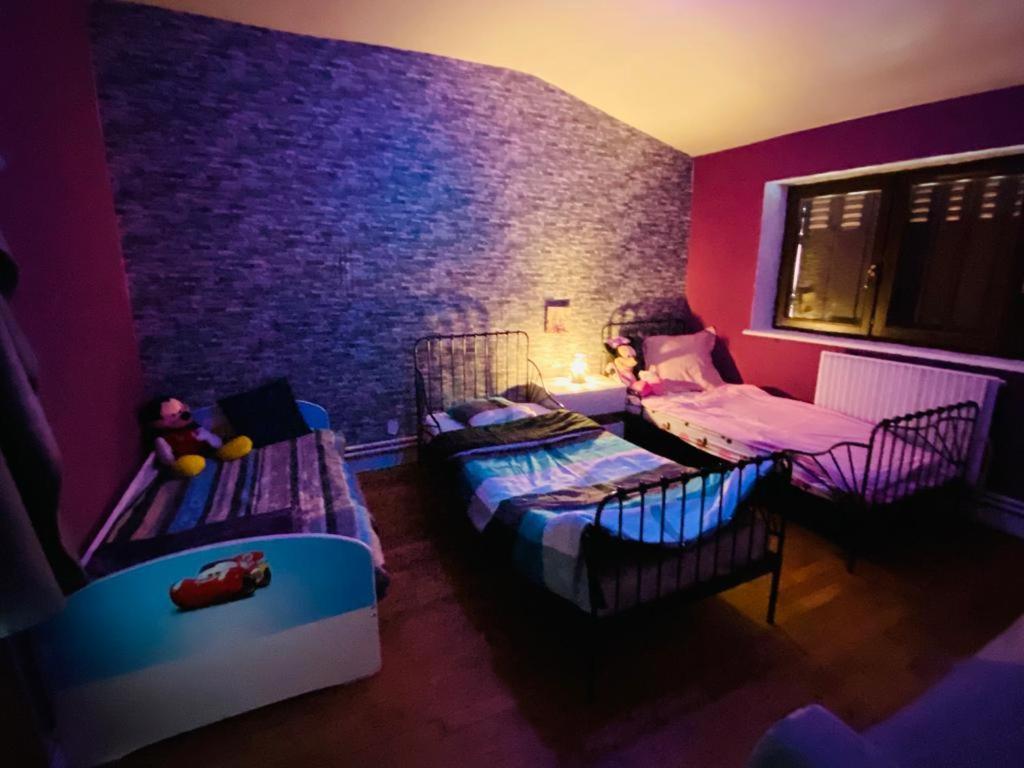 Appartement Independant De 100 Mc Avec 4 Chambres, Salon Et Jardin Senones  Extérieur photo